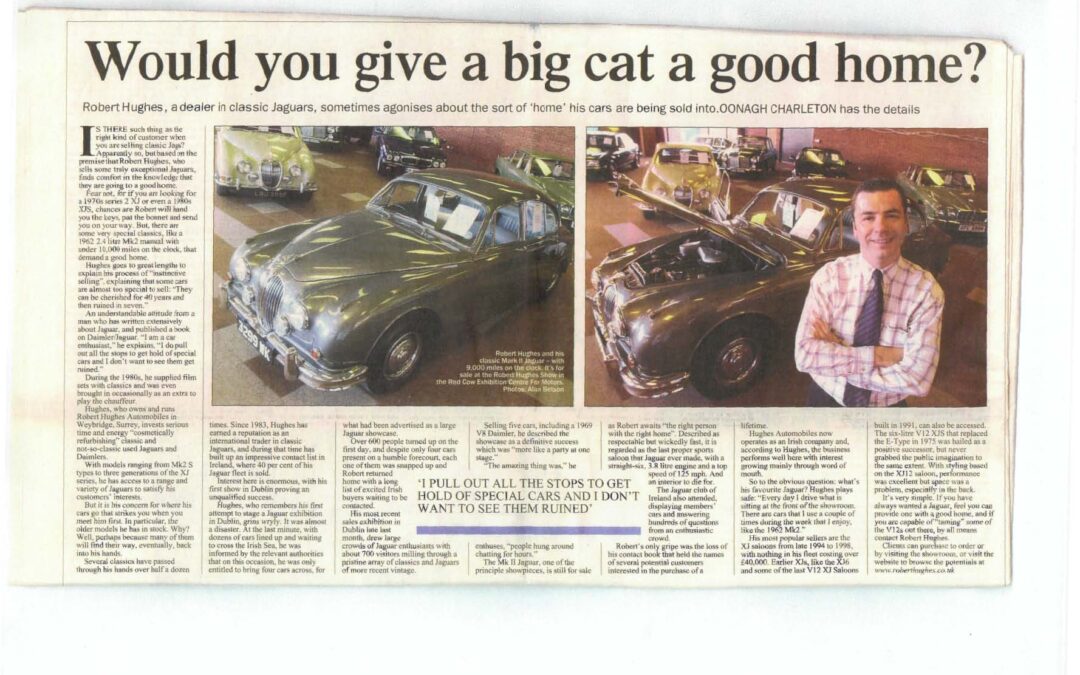 Irish Times Circa 2003 – Would you give a cat a good home?